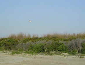 Helicopter at Grand Isle