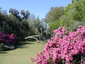 Avery Island Gardens