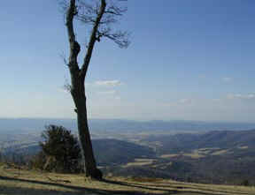 Skyline Drive